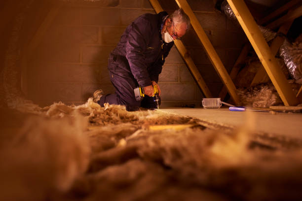 Best Specialty Insulation in Westchase, FL
